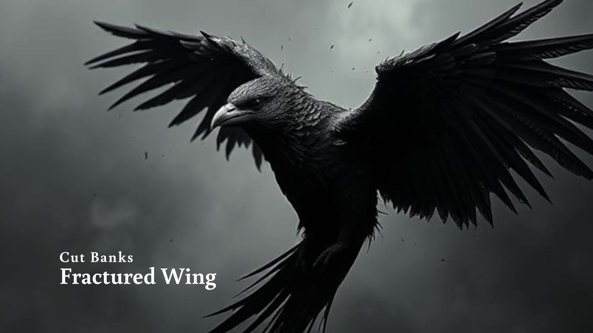 Fractured Wing (Brazen Original) – Cut Banks – Alternative Pop